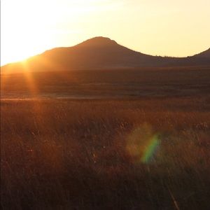 Meet your Posher, Kris